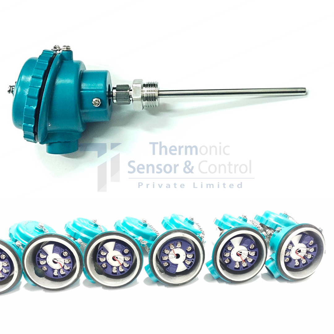 RTD Sensor with Temperature Transmitter: Accurate Temperature Measurement and Easy Integration